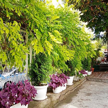 Belgrade Apartment Happy Garden Exteriör bild