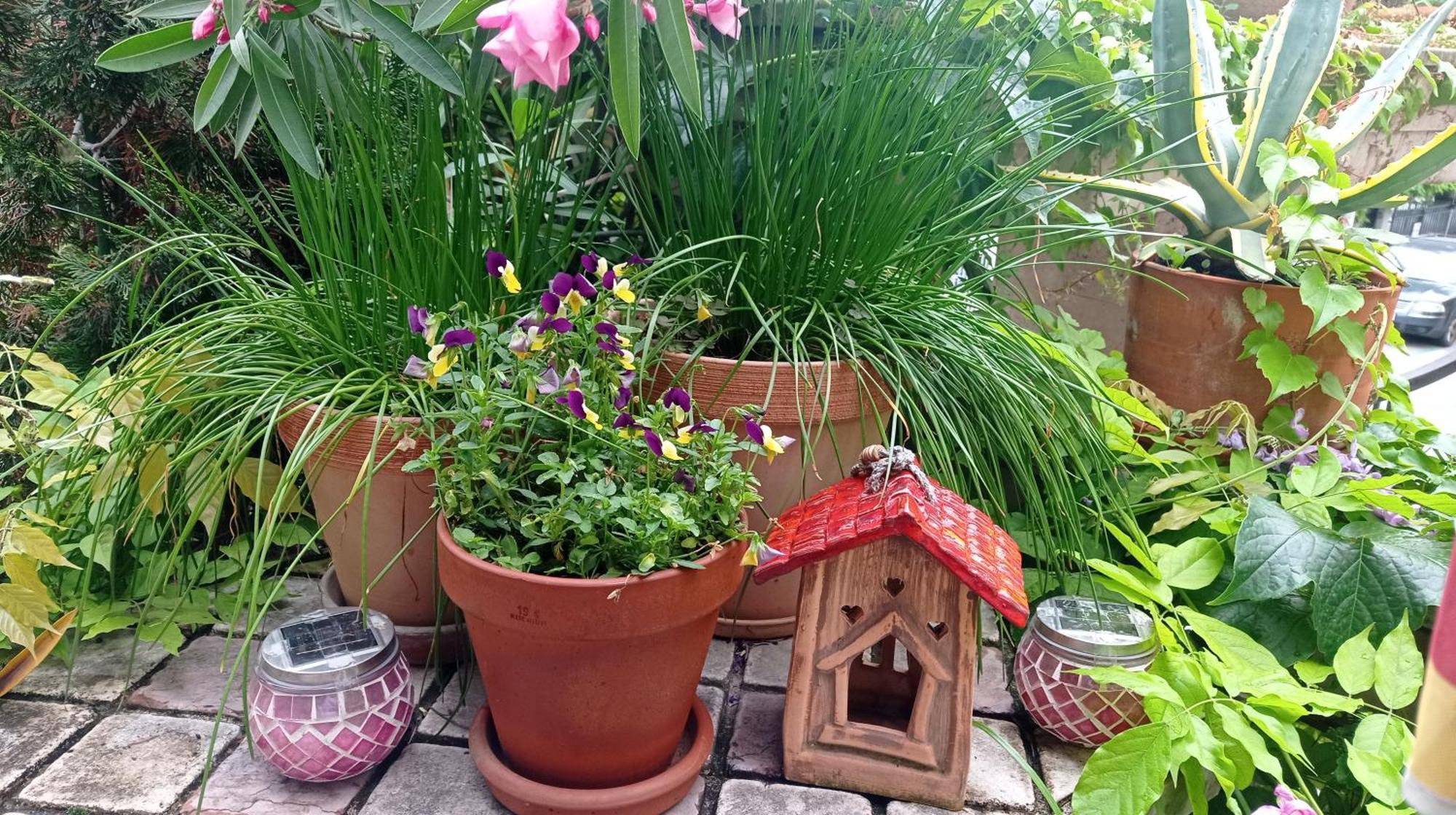 Belgrade Apartment Happy Garden Exteriör bild