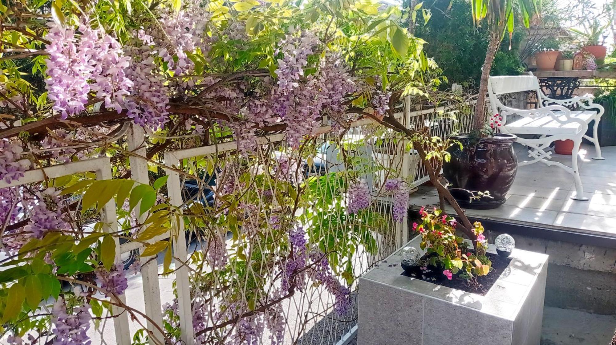 Belgrade Apartment Happy Garden Exteriör bild