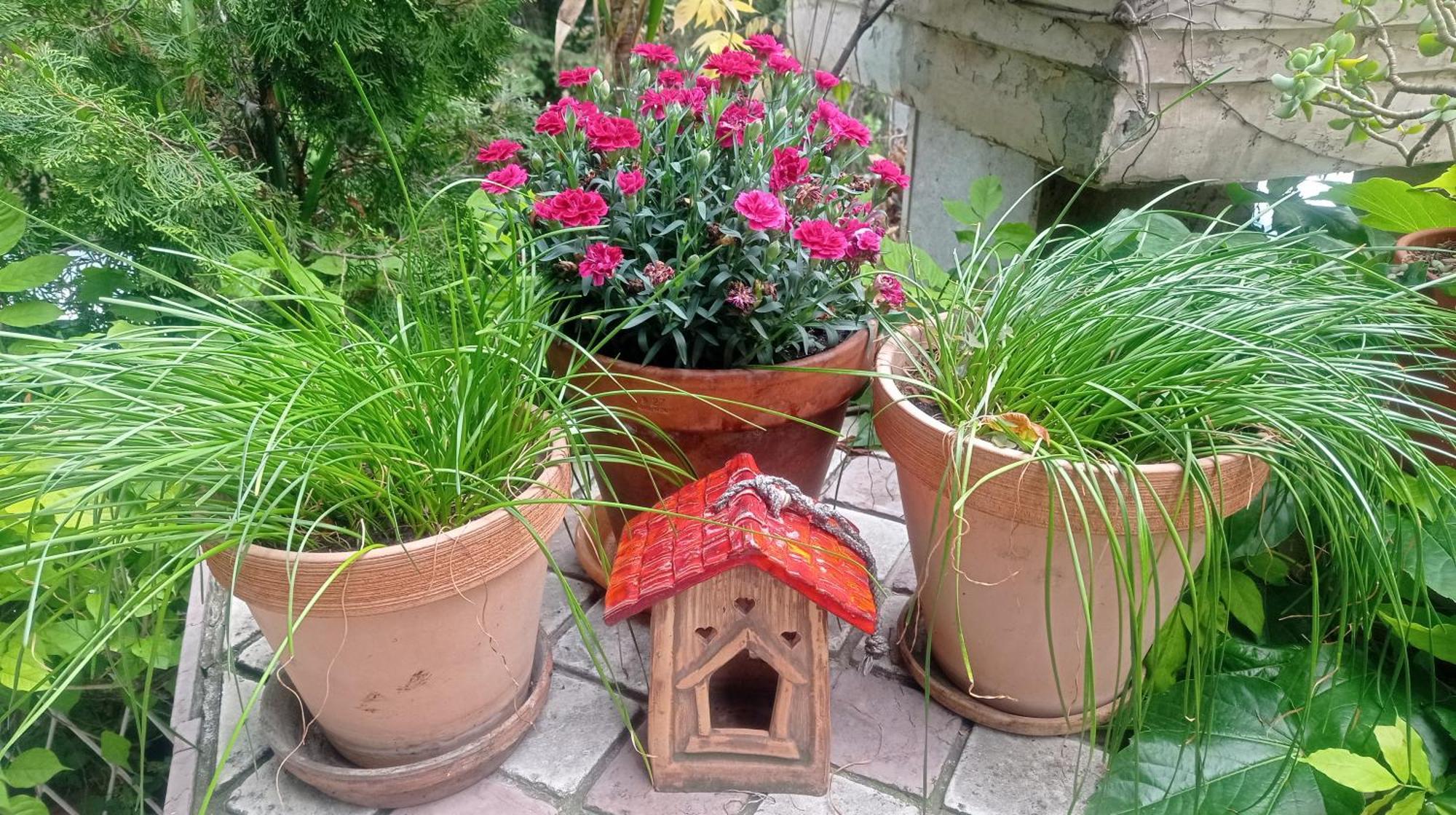 Belgrade Apartment Happy Garden Exteriör bild
